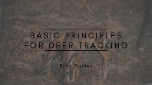 Brox Baxley Basic Principles for Deer Tracking