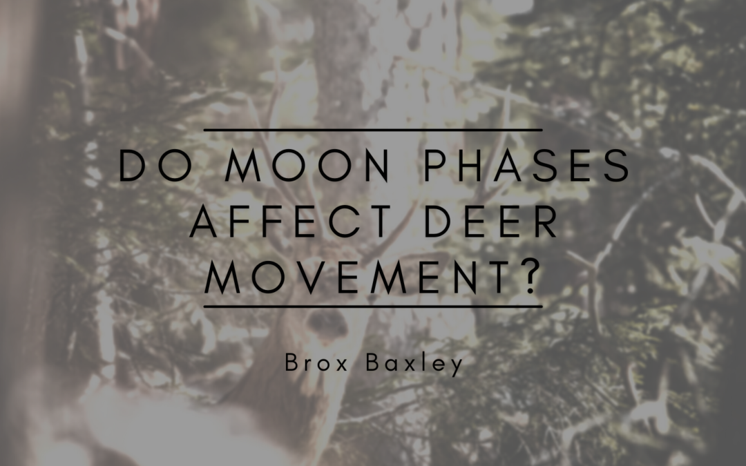 Do Moon Phases Affect Deer Movement?
