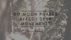 Brox Baxley Do Moon Phases Affect Deer Movement?