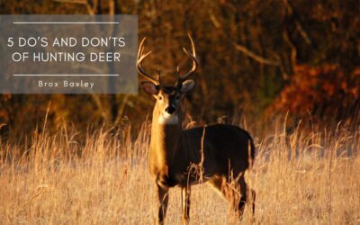 5 Do’s and Don’ts of Hunting Deer