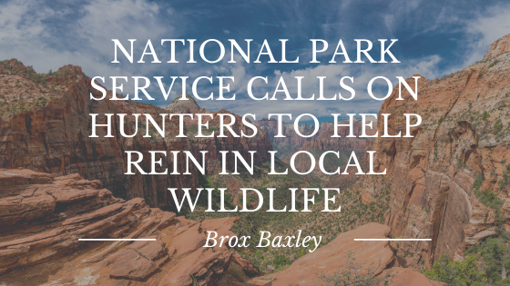 National Park Service Calls on Hunters to Help Rein in Local Wildlife
