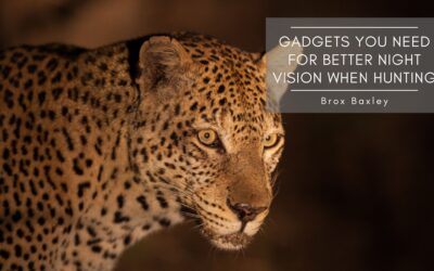Gadgets You Need for Better Night Vision When Hunting