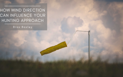 How Wind Direction Can Influence Your Hunting Approach
