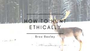 How To Hunt Ethically