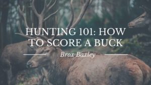 Hunting 101 How To Score A Buck