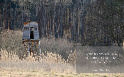 How to Scout New Hunting Locations Effectively