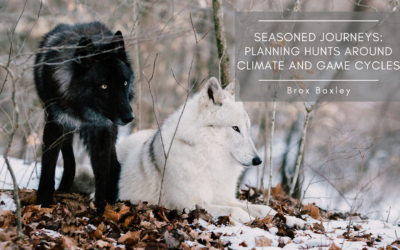 Seasoned Journeys: Planning Hunts Around Climate and Game Cycles