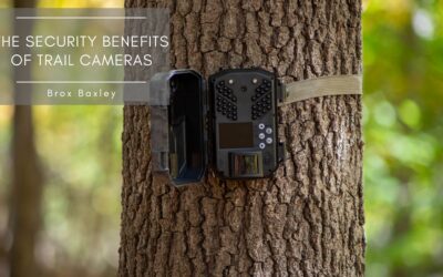The Security Benefits of Trail Cameras