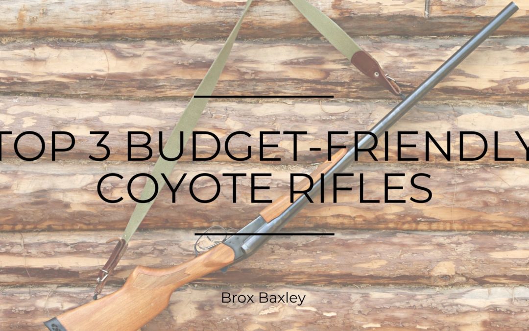 Top 3 Budget-Friendly Coyote Rifles
