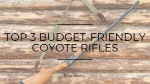 Top 3 Budget Friendly Coyote Rifles Brox Baxley