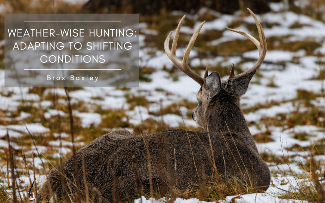 Weather-Wise Hunting: Adapting to Shifting Conditions