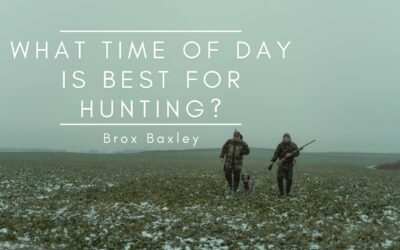 What Time Is Best for Hunting?